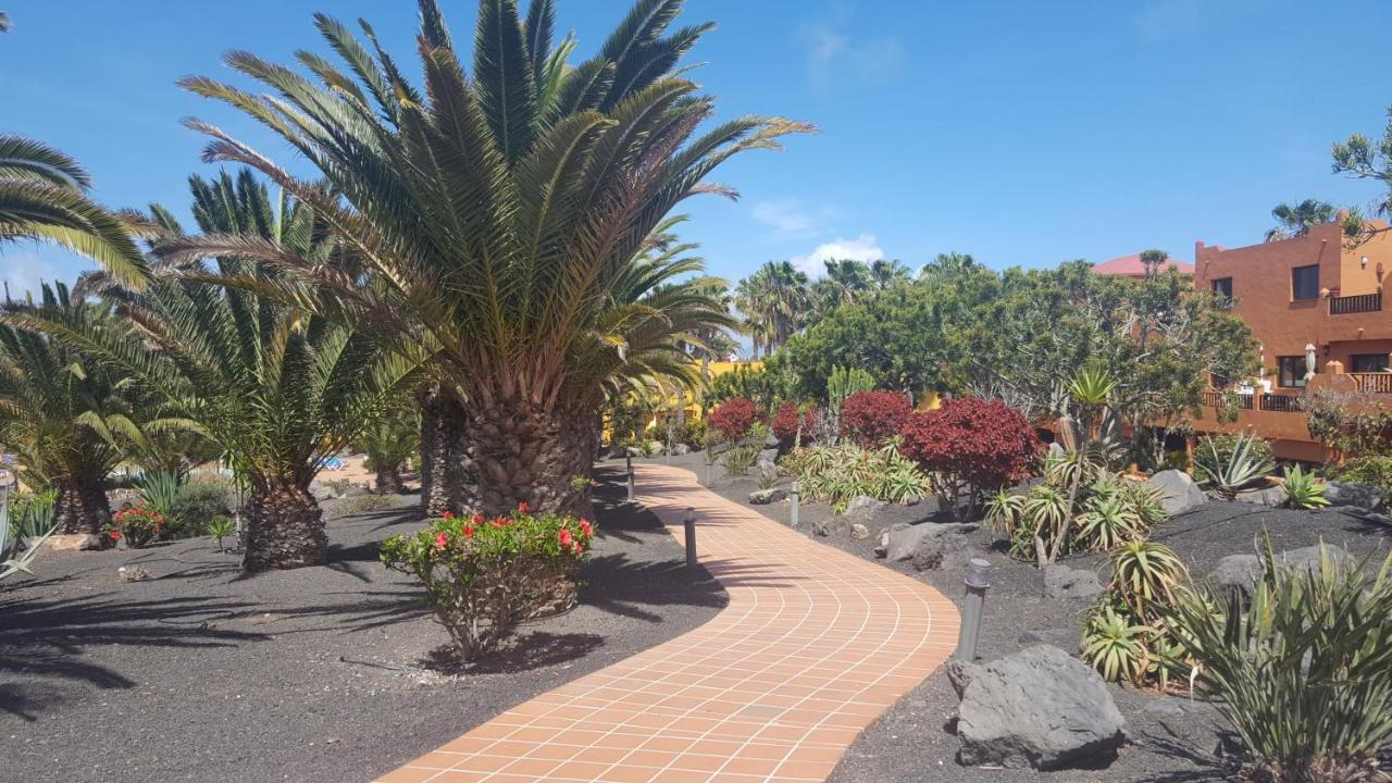 Oasis Royal 3 Piscinas - Fibra óptica Corralejo