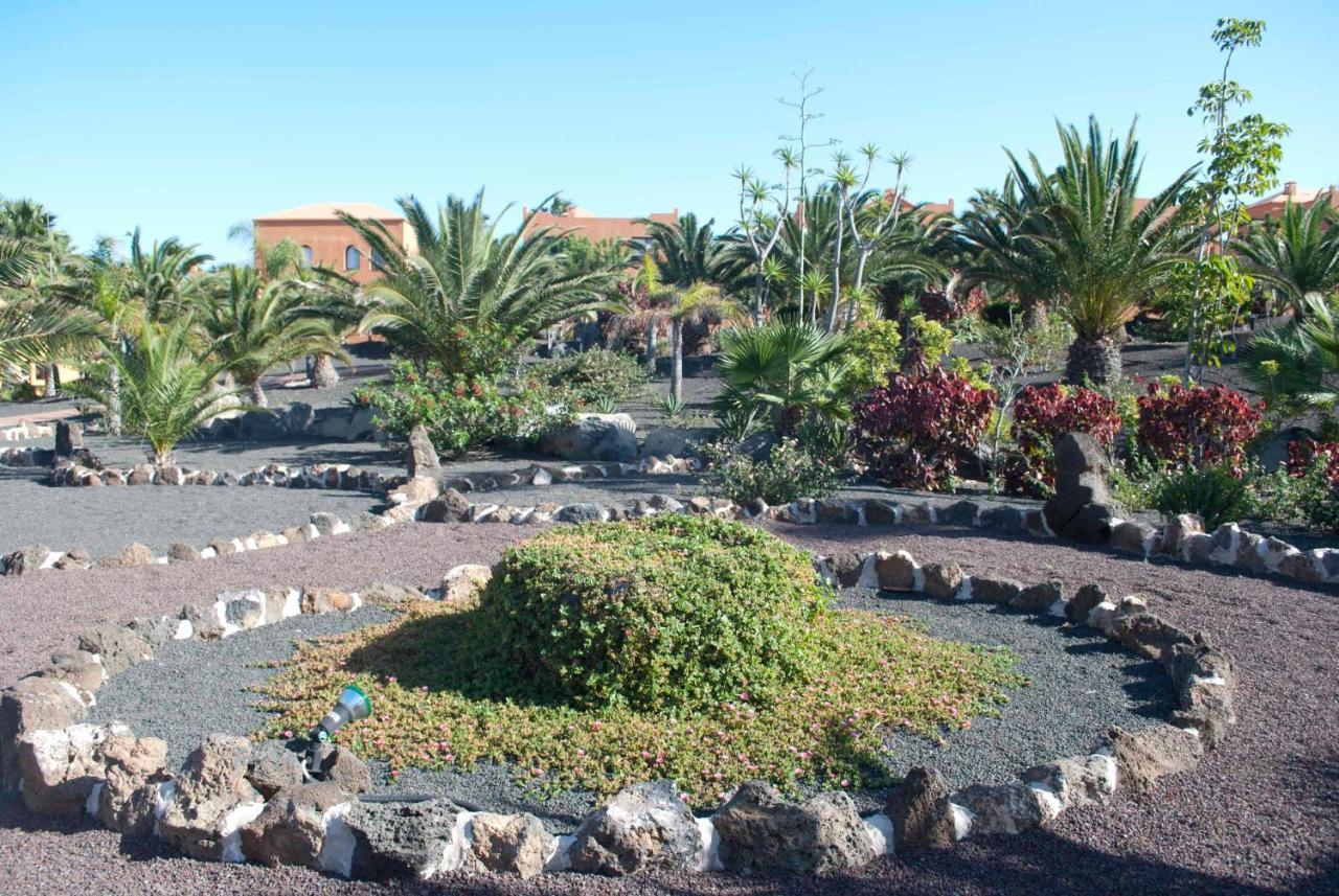 Oasis Royal 3 Piscinas - Fibra óptica
