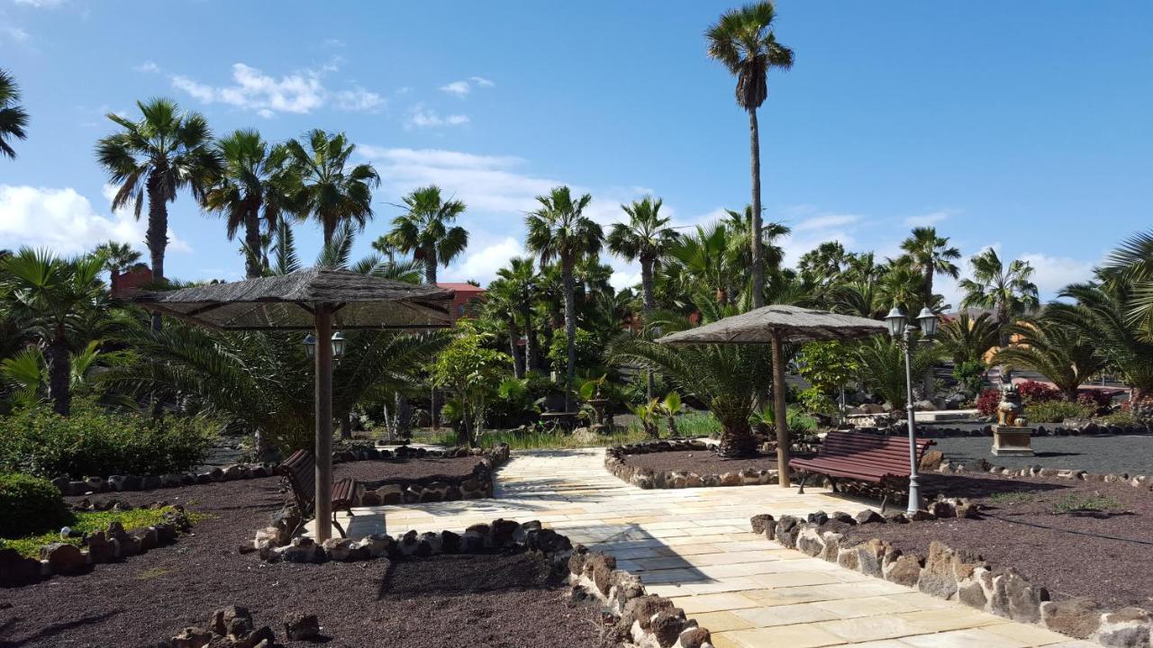 Oasis Royal 3 Piscinas - Fibra óptica *