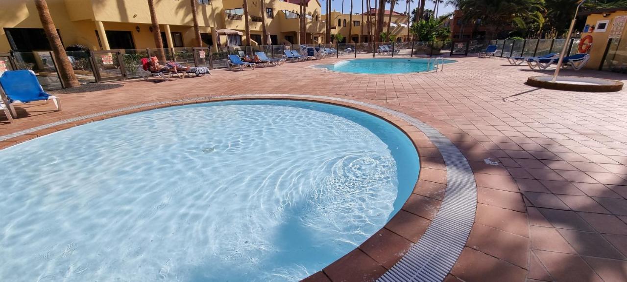 Oasis Royal 3 Piscinas - Fibra óptica * Corralejo